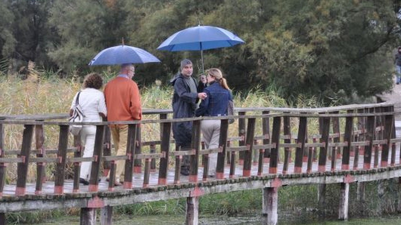 Photo of Others in Granatula de Calatrava