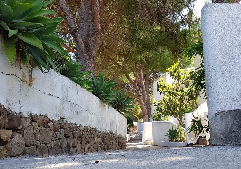 Photo of Others in Urbanizacion Puerto de Estepona
