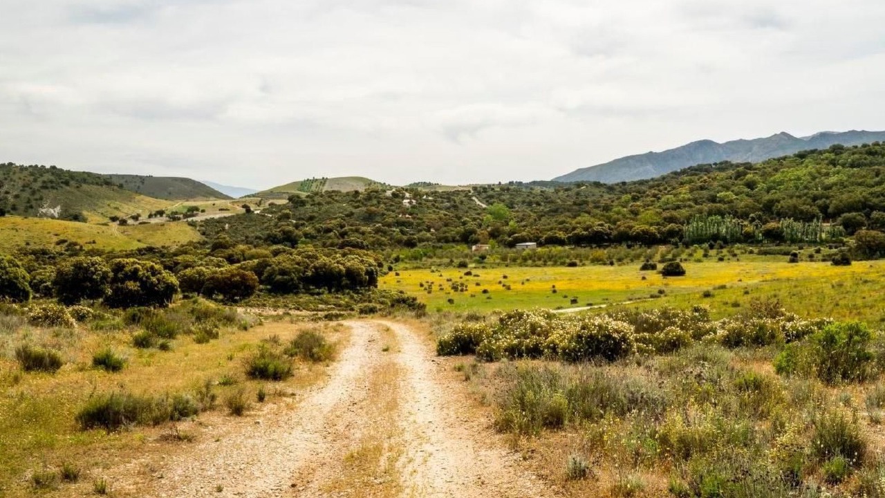 Photo of Others in Alhama de Granada