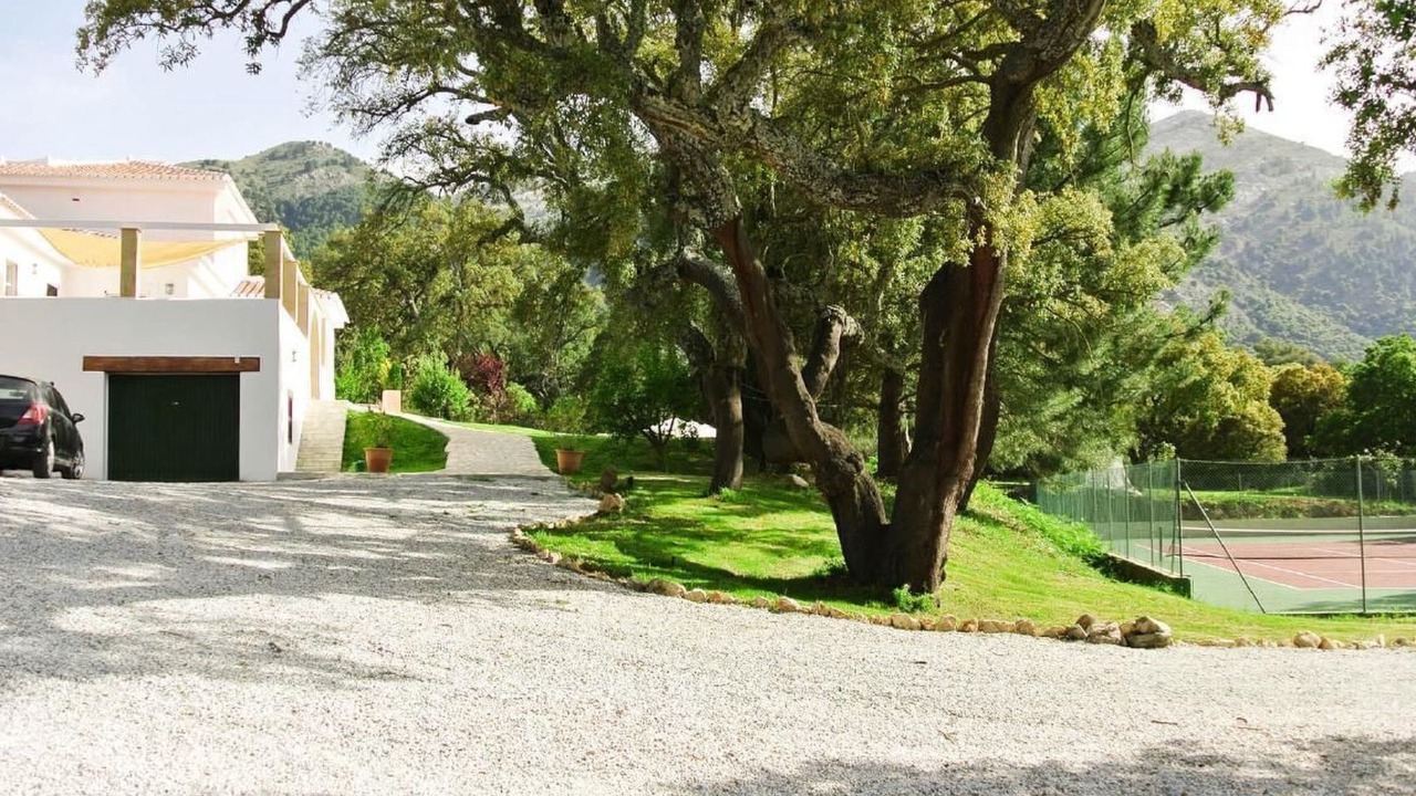 Photo of Others in Alhama de Granada