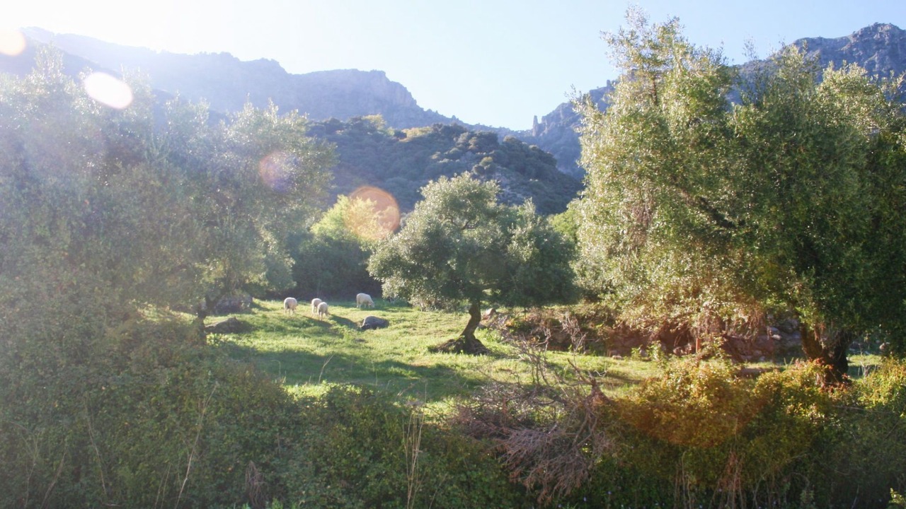 Photo of Others in Grazalema
