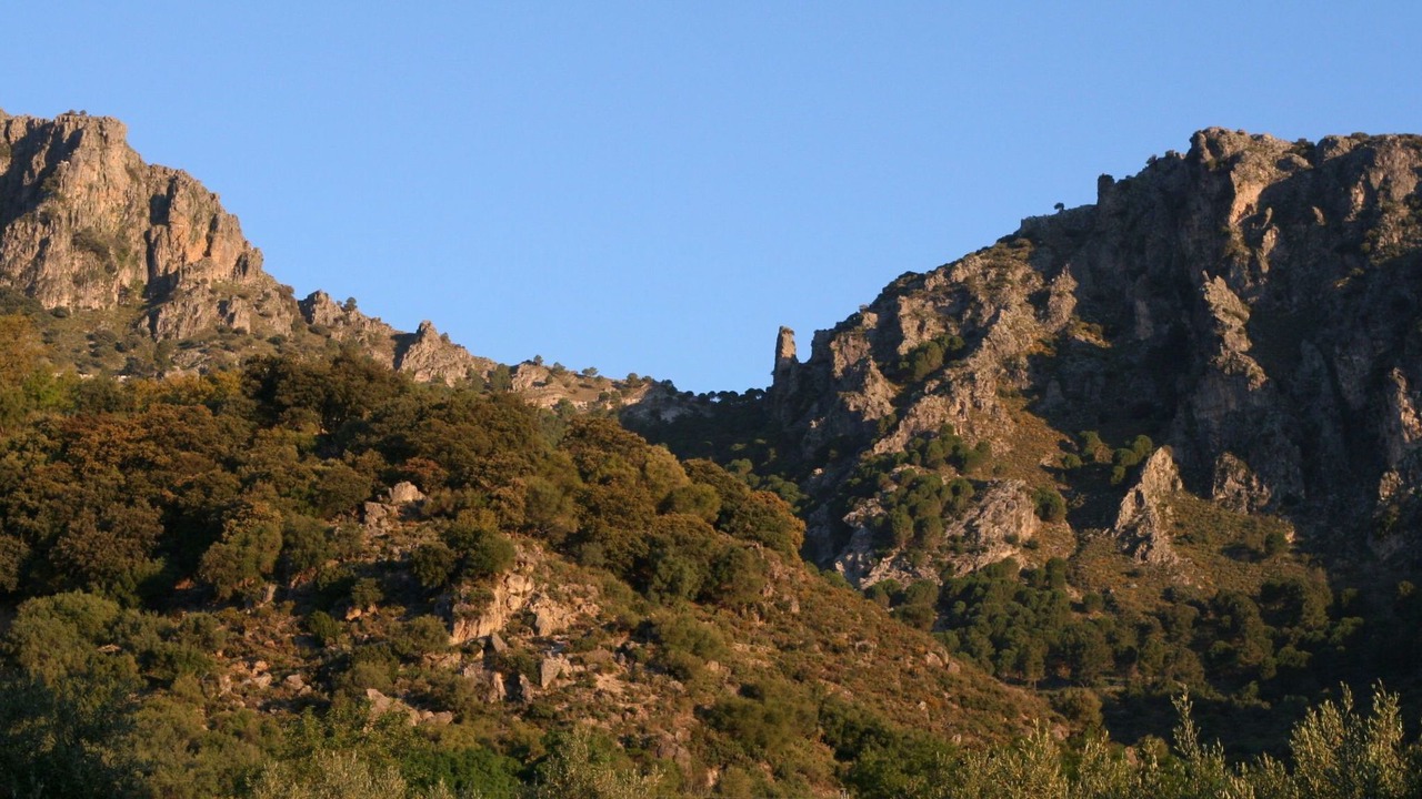 Photo of Others in Grazalema