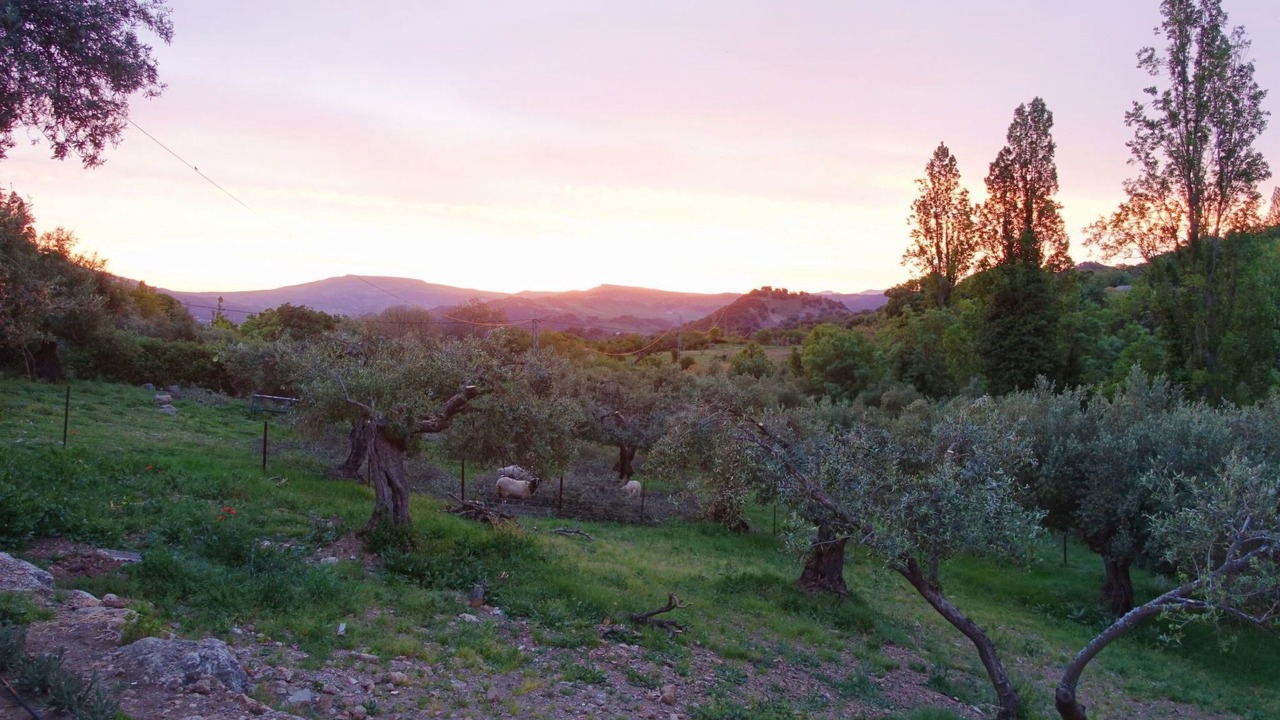 Photo of Others in Grazalema