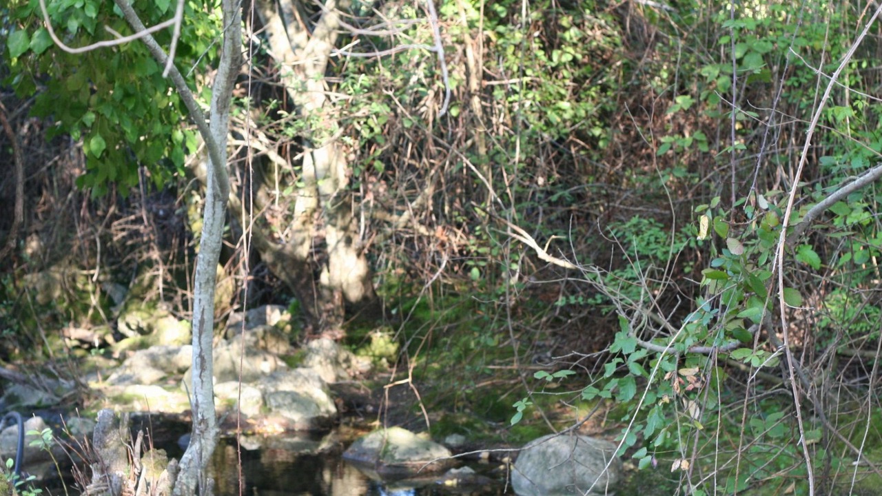 Photo of Others in Grazalema