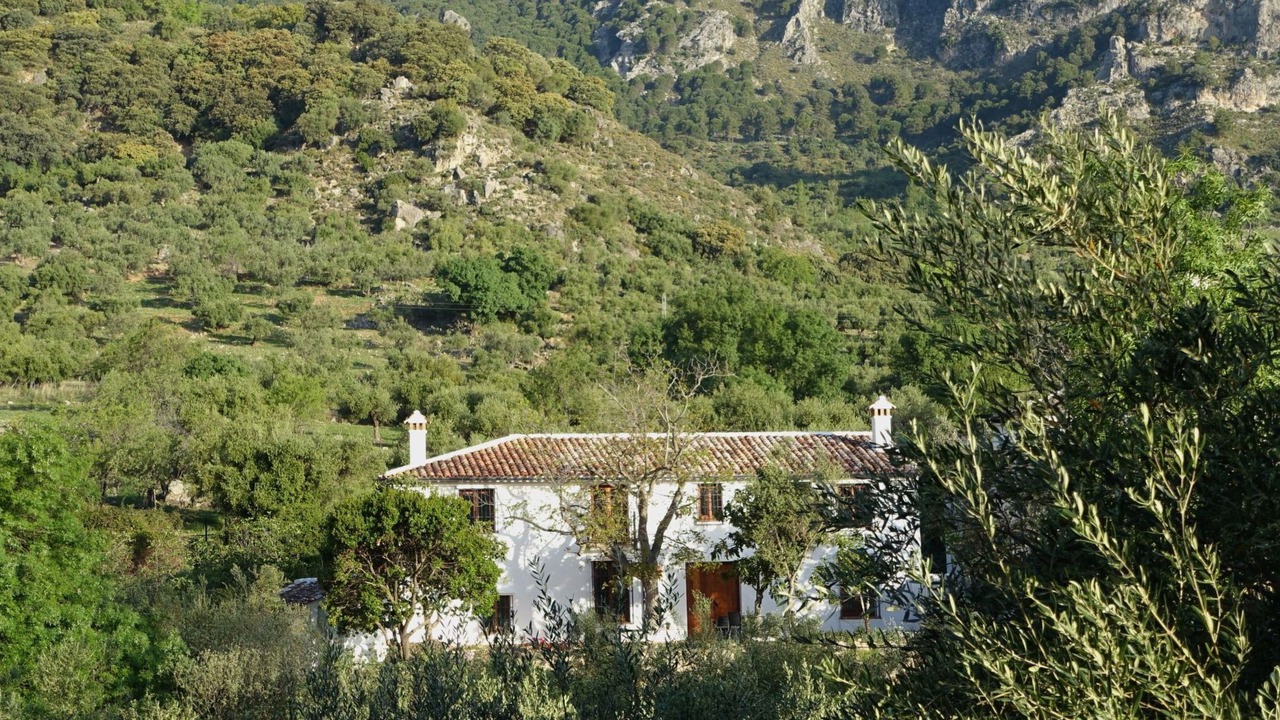 Photo of Others in Grazalema