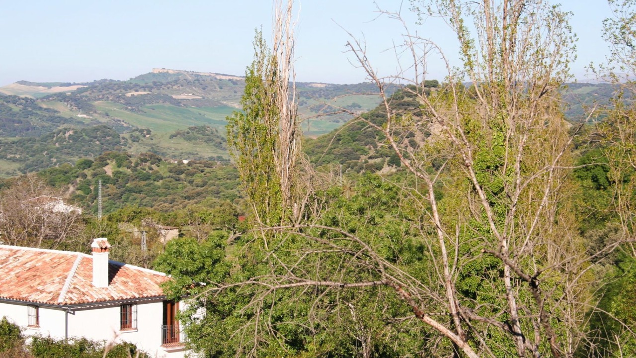 Photo of Outdoor in Grazalema