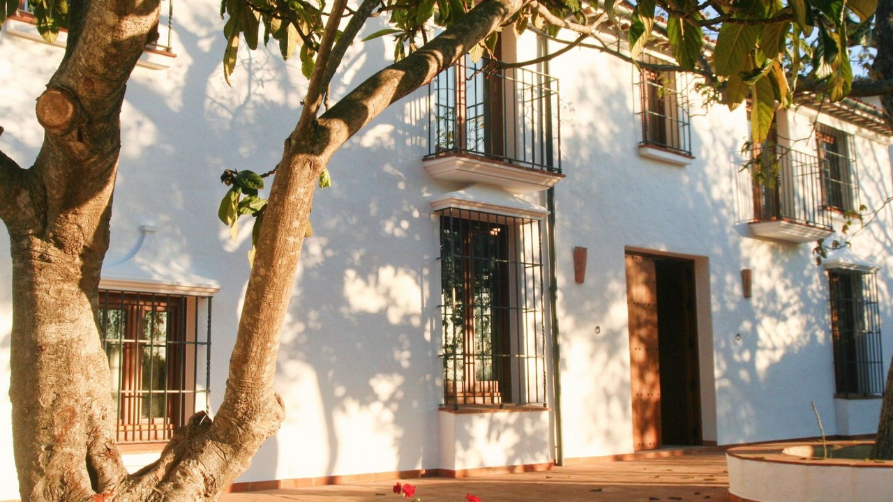 Photo of Others in Grazalema