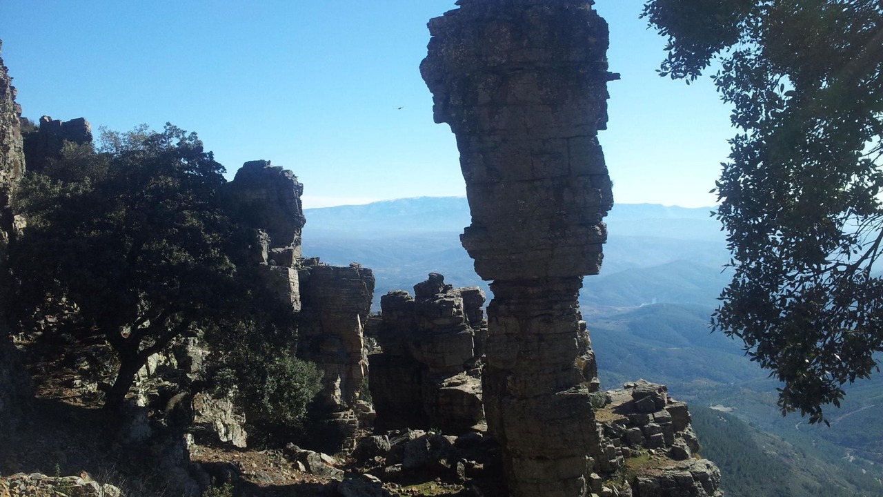 Photo of Others in Sotoserrano