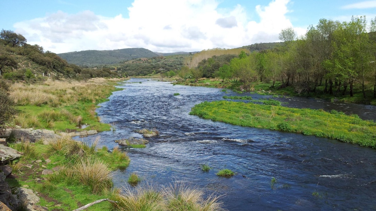 Photo of Others in Sotoserrano