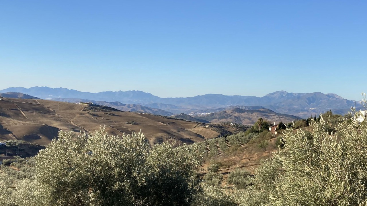 Photo of Others in Antequera