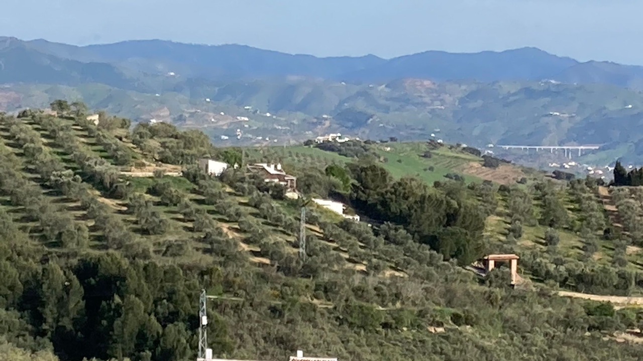 Photo of Others in Antequera