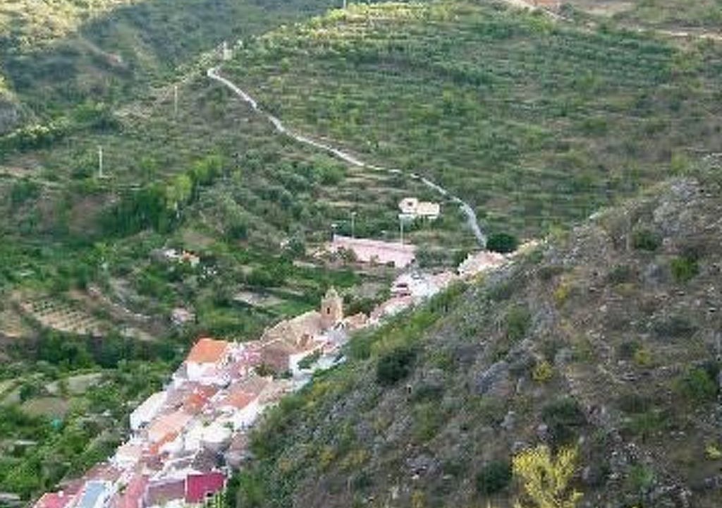 Photo of Others in Laroya