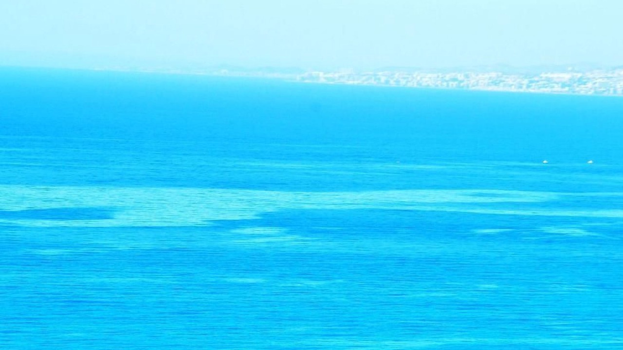 Photo of Others in Torre de Benagalbon