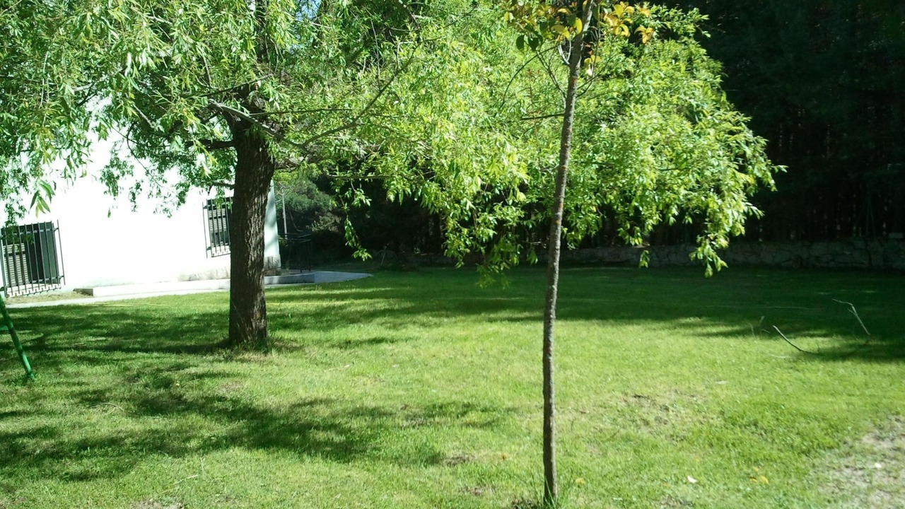 Photo of Others in Navarredonda de Gredos