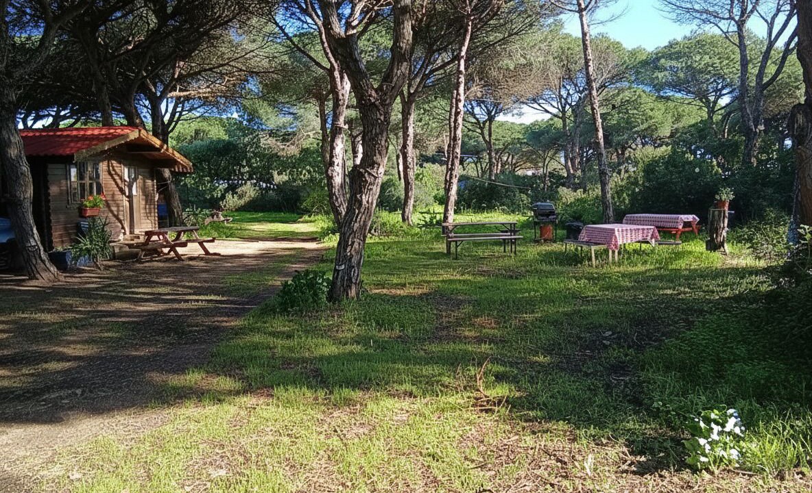 Photo of Outdoor in Conil de la Frontera