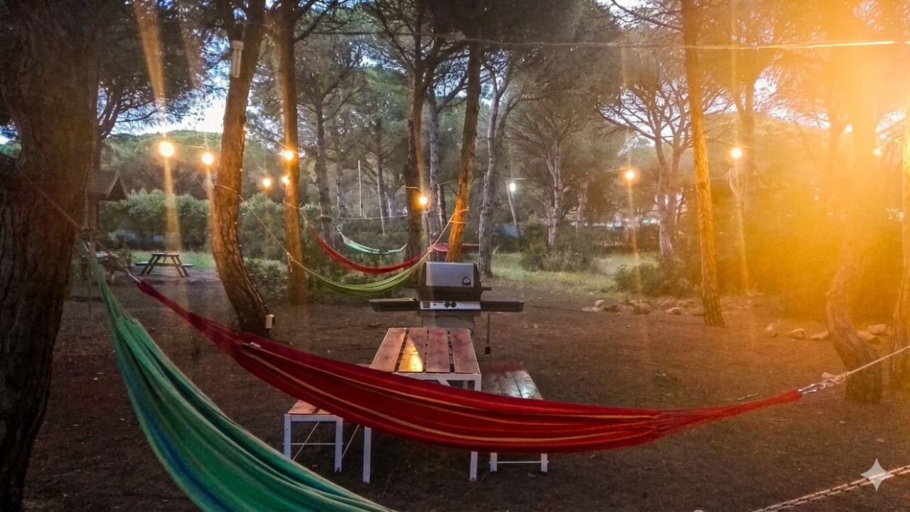 Photo of Outdoor in Conil de la Frontera