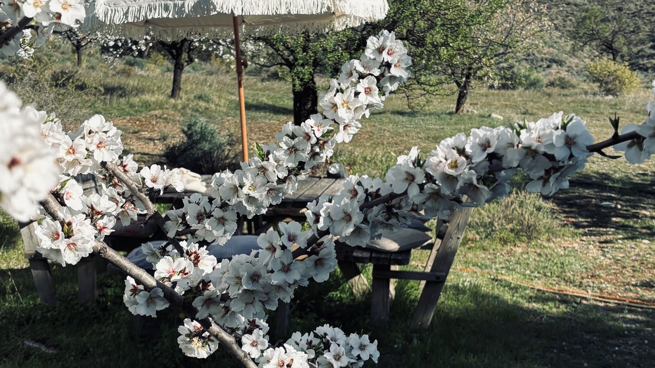 Photo of Outdoor in Lubrin