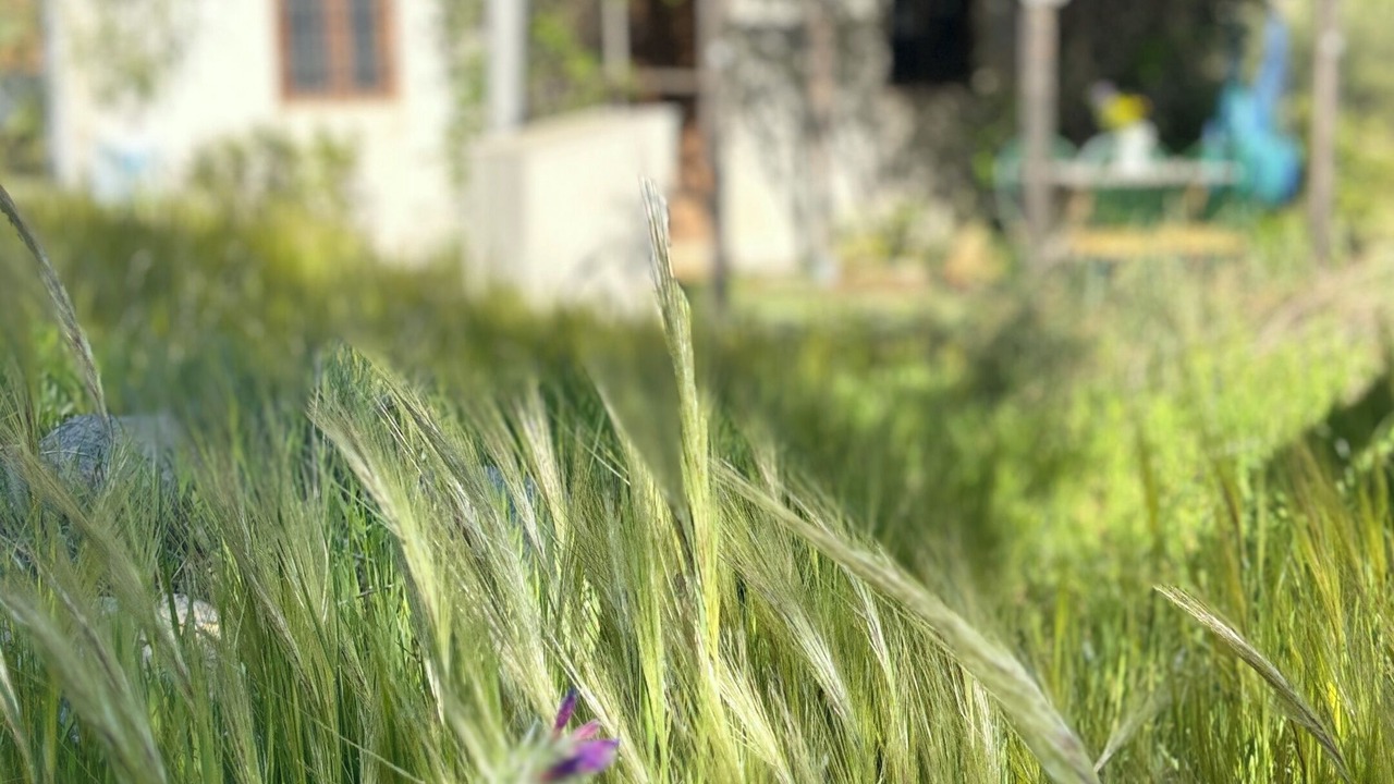 Photo of Outdoor in Lubrin