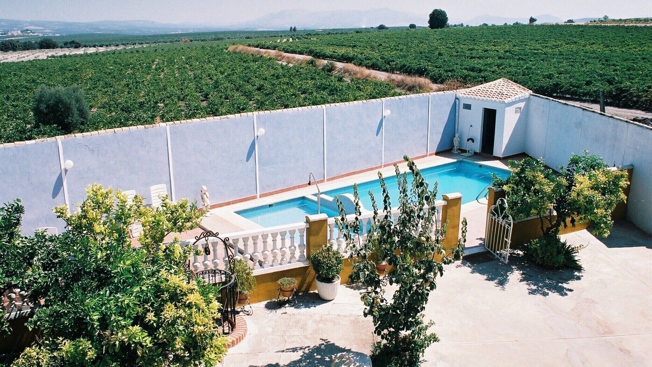 Photo of Outdoor in Moriles
