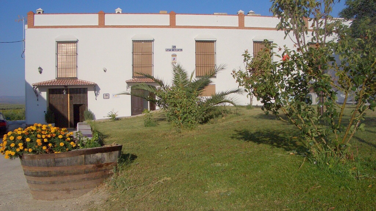 Photo of Outdoor in Moriles