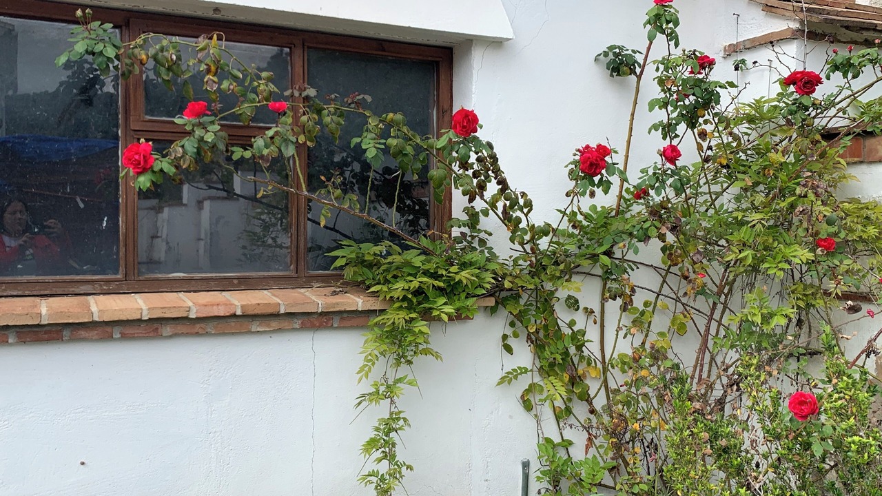 Photo of Outdoor in Alcaucin