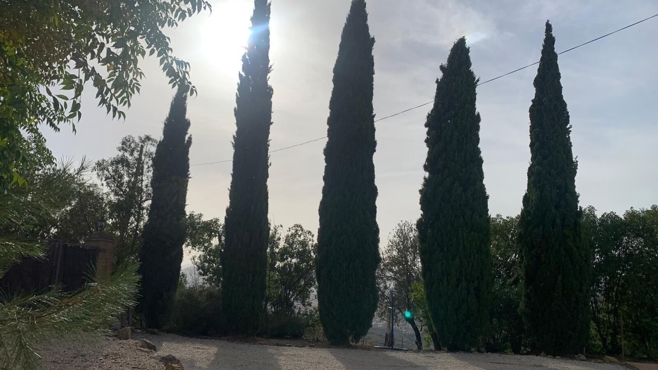 Photo of Others in Alcaucin