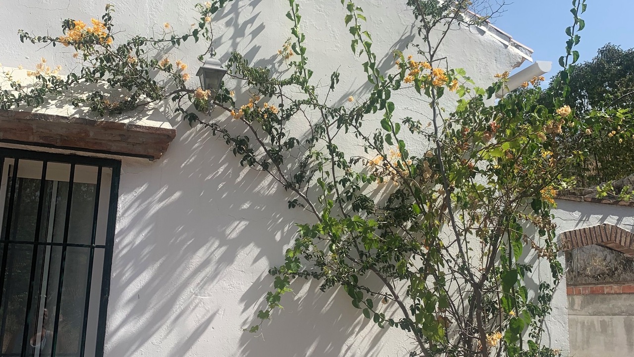 Photo of Outdoor in Alcaucin
