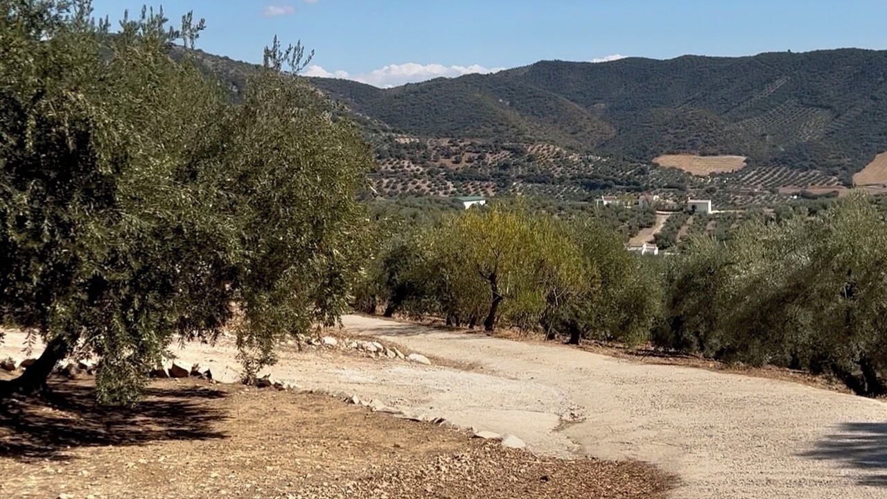Photo of Others in Algarinejo