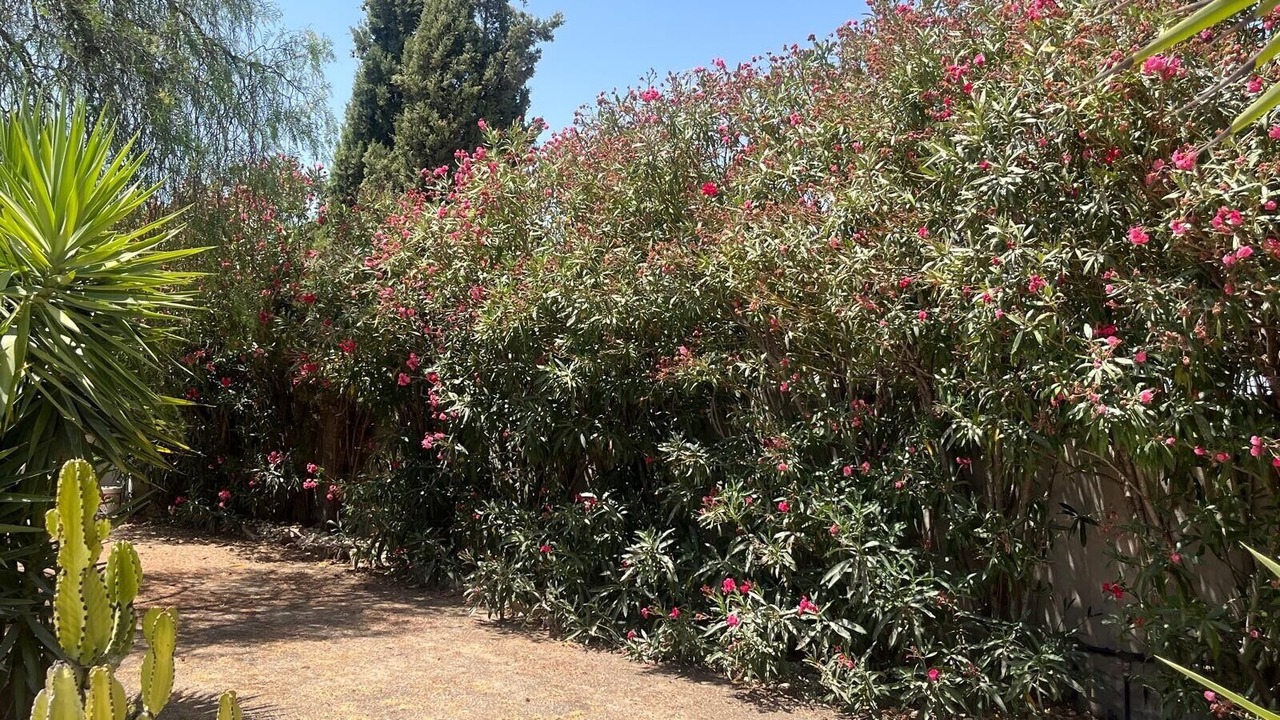 Photo of Outdoor in Pinos de Alhaurin