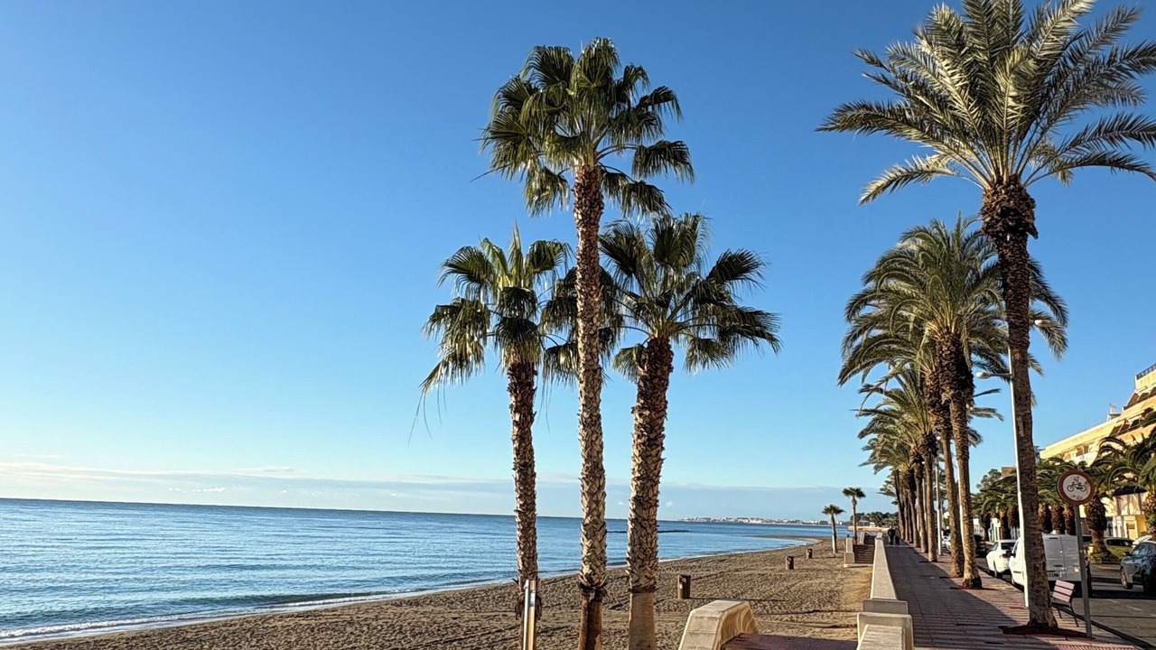 Photo of Others in Aguadulce
