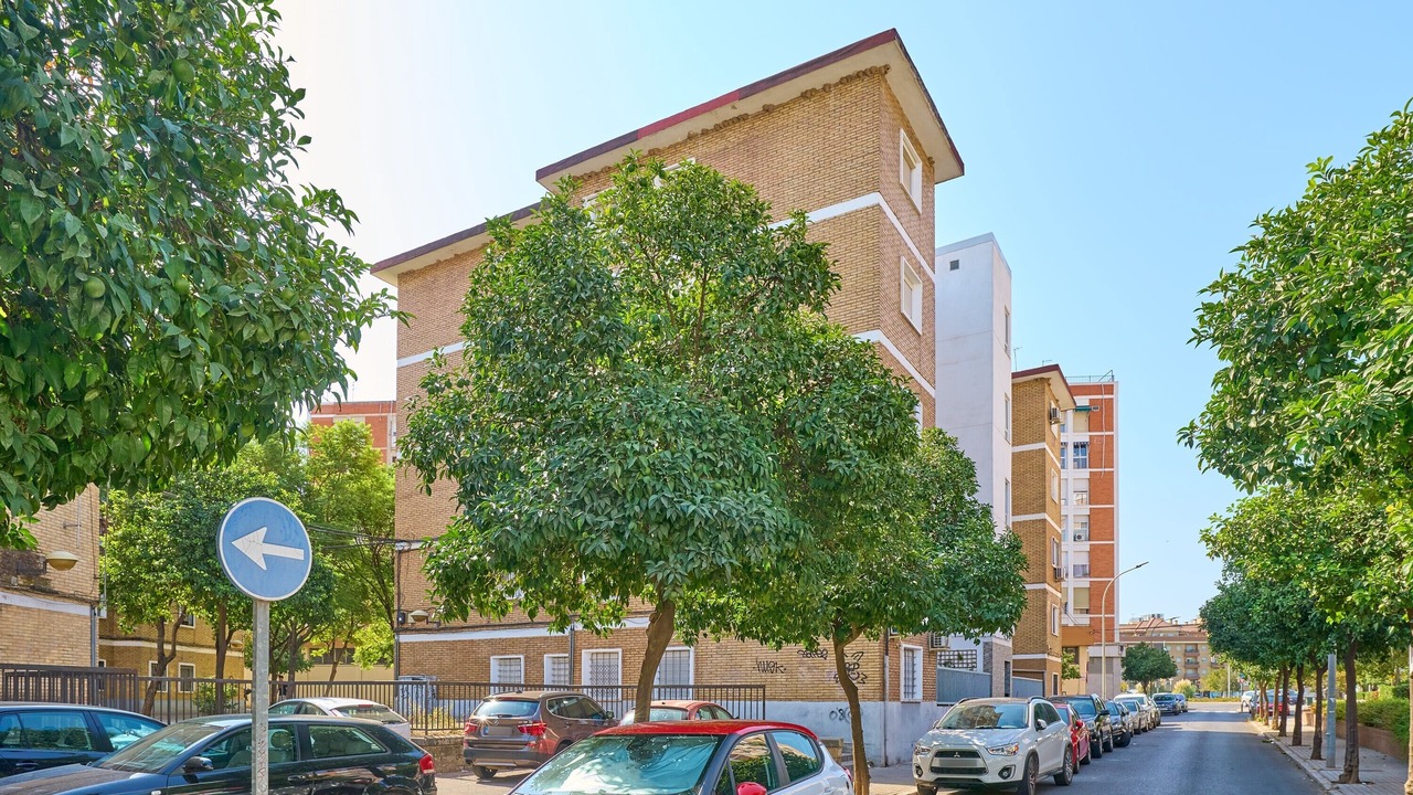 Photo of Outdoor in Distrito Sur