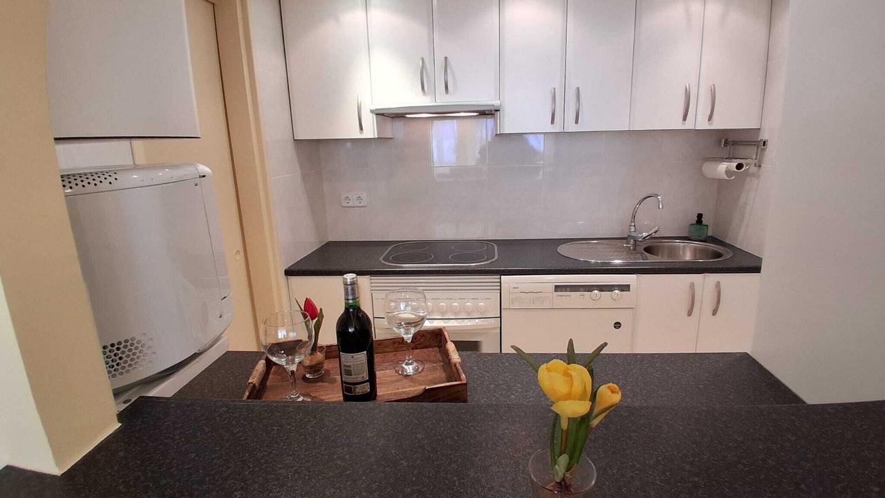 Photo of Kitchen in Marbella Seafront Promenade