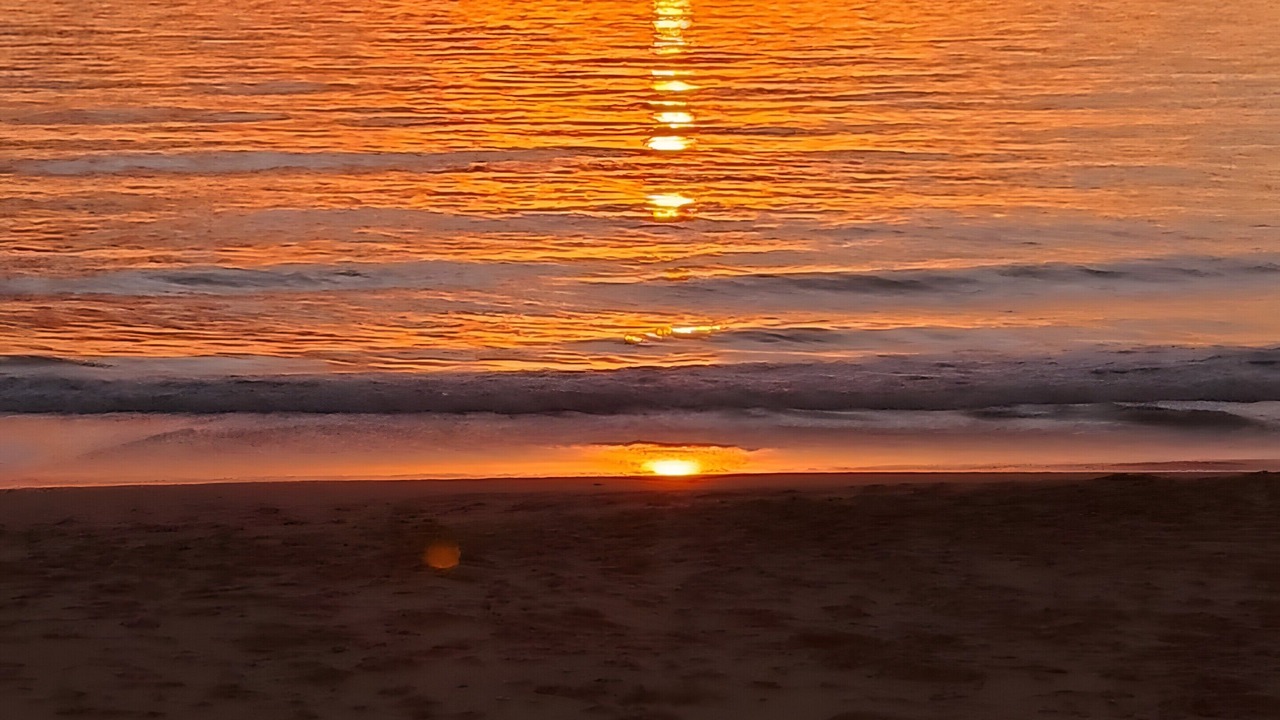 Photo of Others in El Palmar