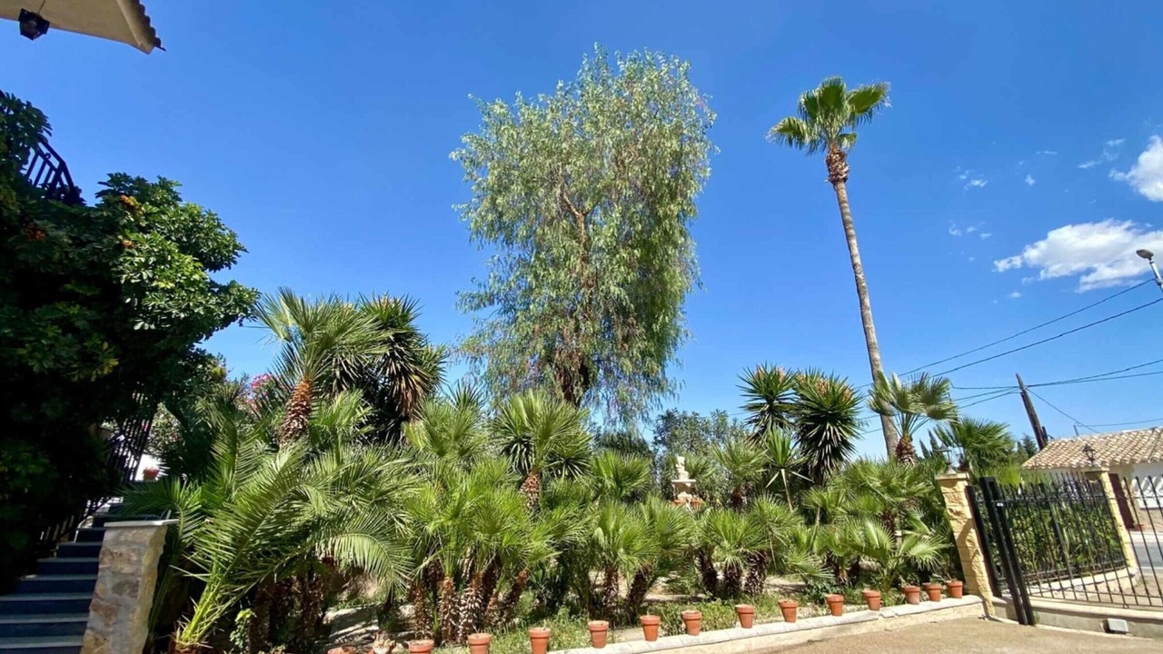 Photo of Outdoor in Lorca