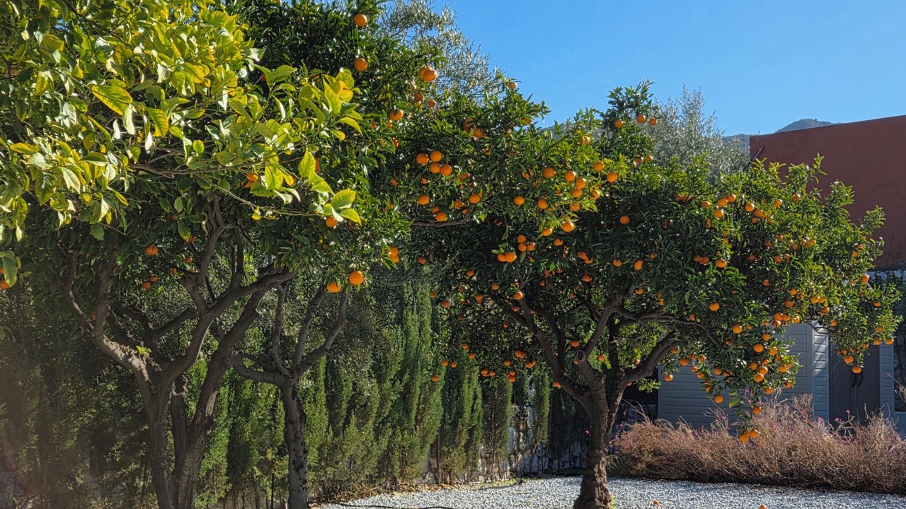 Photo of Outdoor in Pinos de Alhaurin