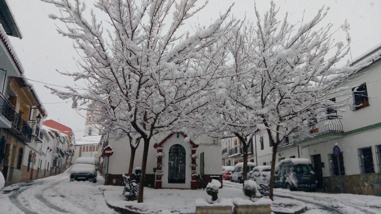 Photo of Outdoor in Arriate