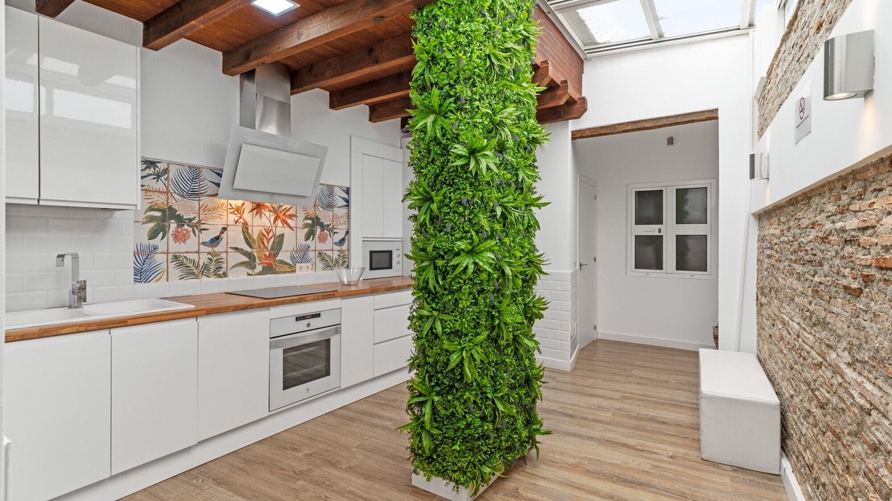 Photo of Kitchen in Historic Center of Estepona