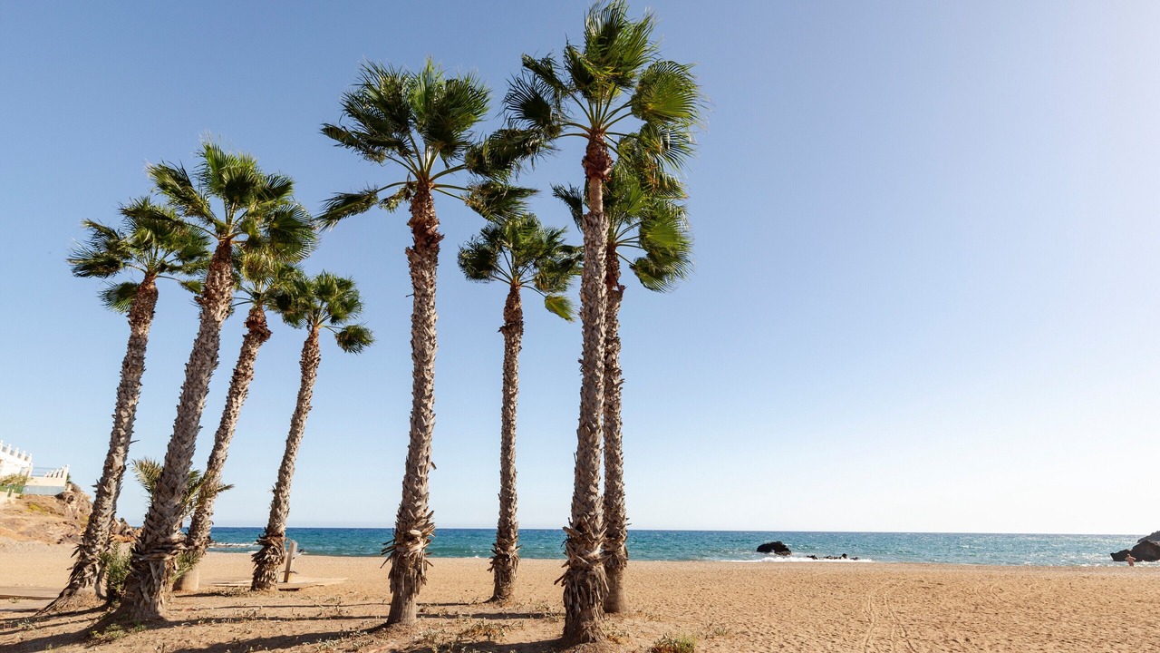 Photo of Others in Puerto de Mazarron