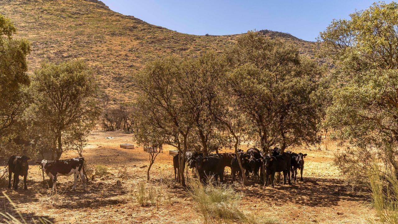 Photo of Others in Atarfe