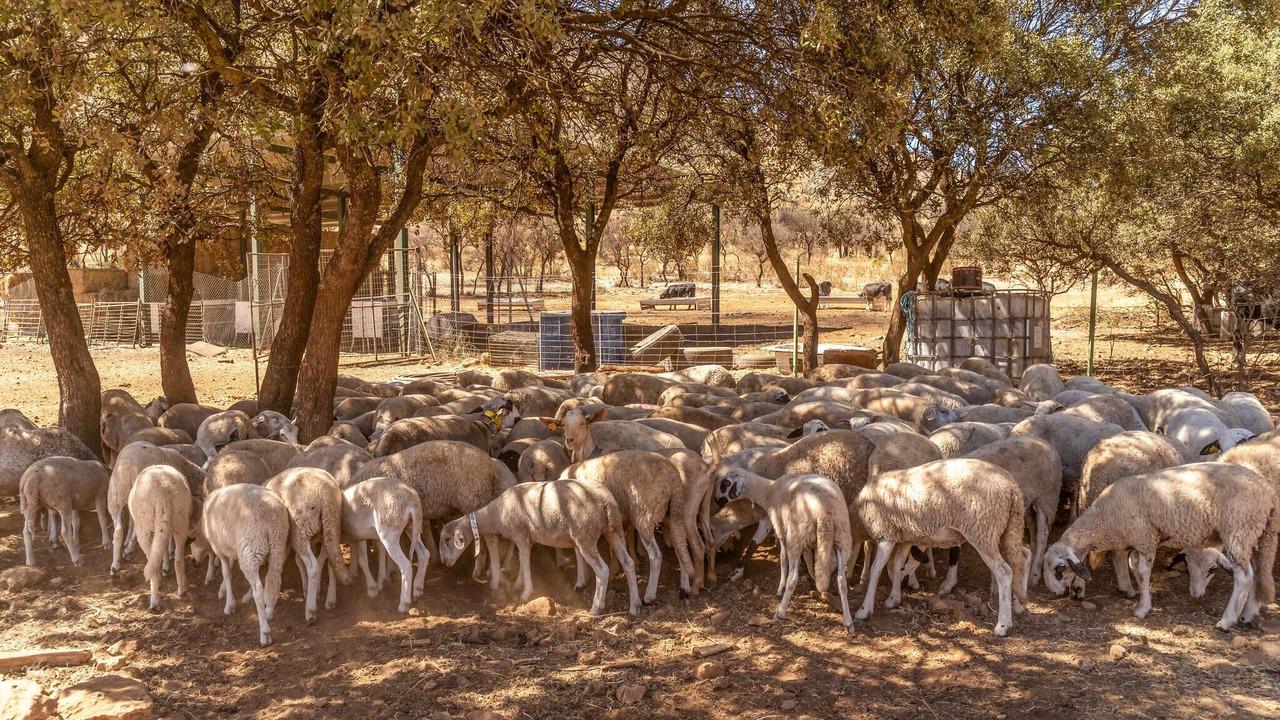 Photo of Others in Atarfe