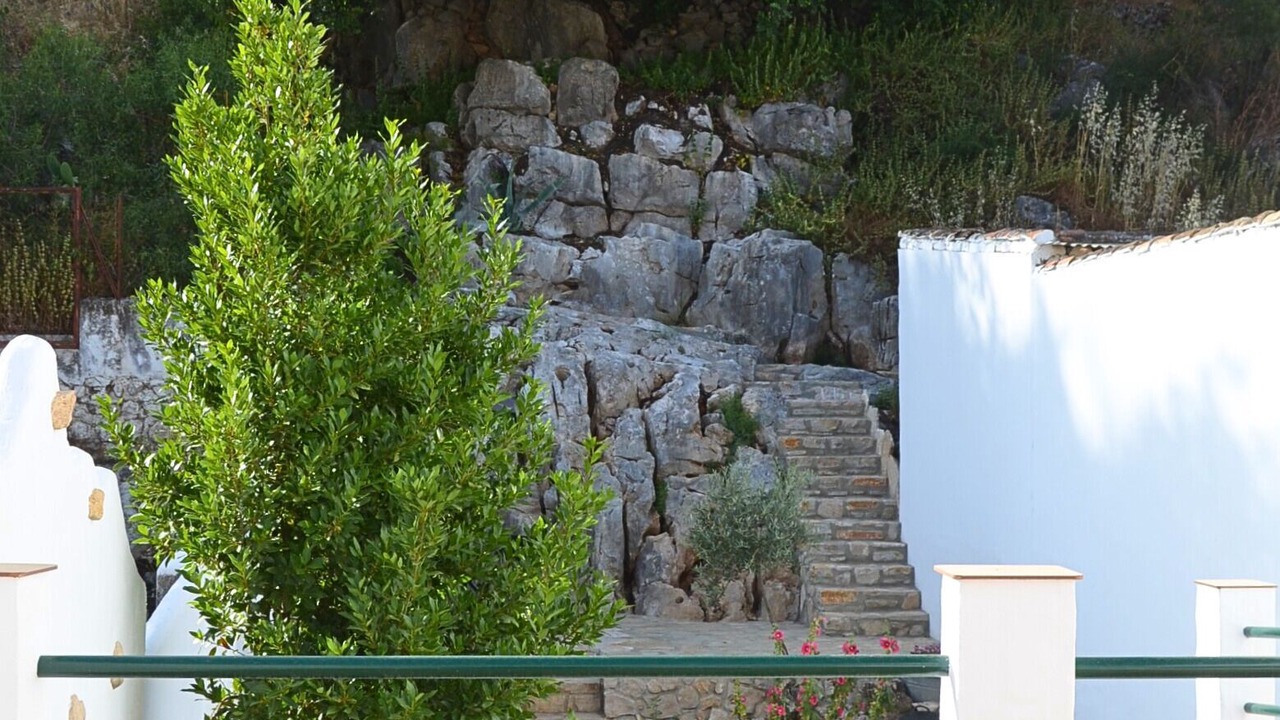 Photo of Outdoor in Alfarnate