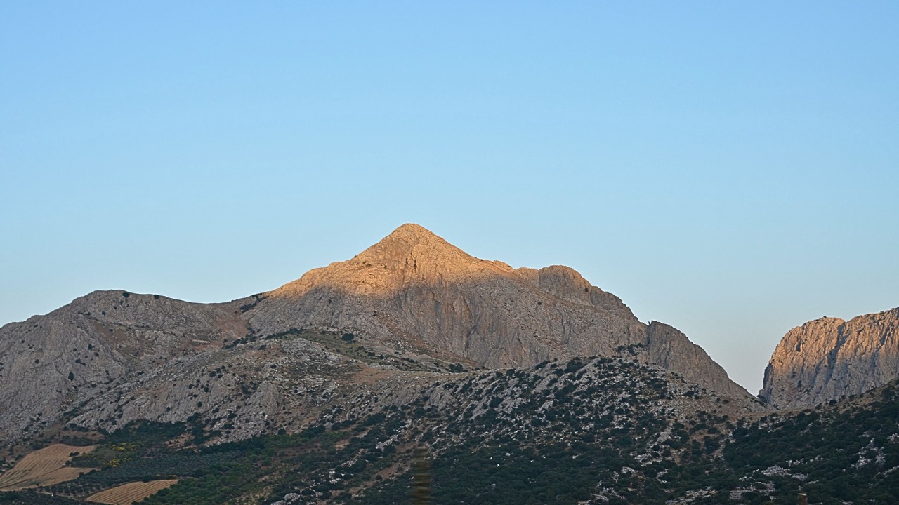 Photo of Others in Alfarnate