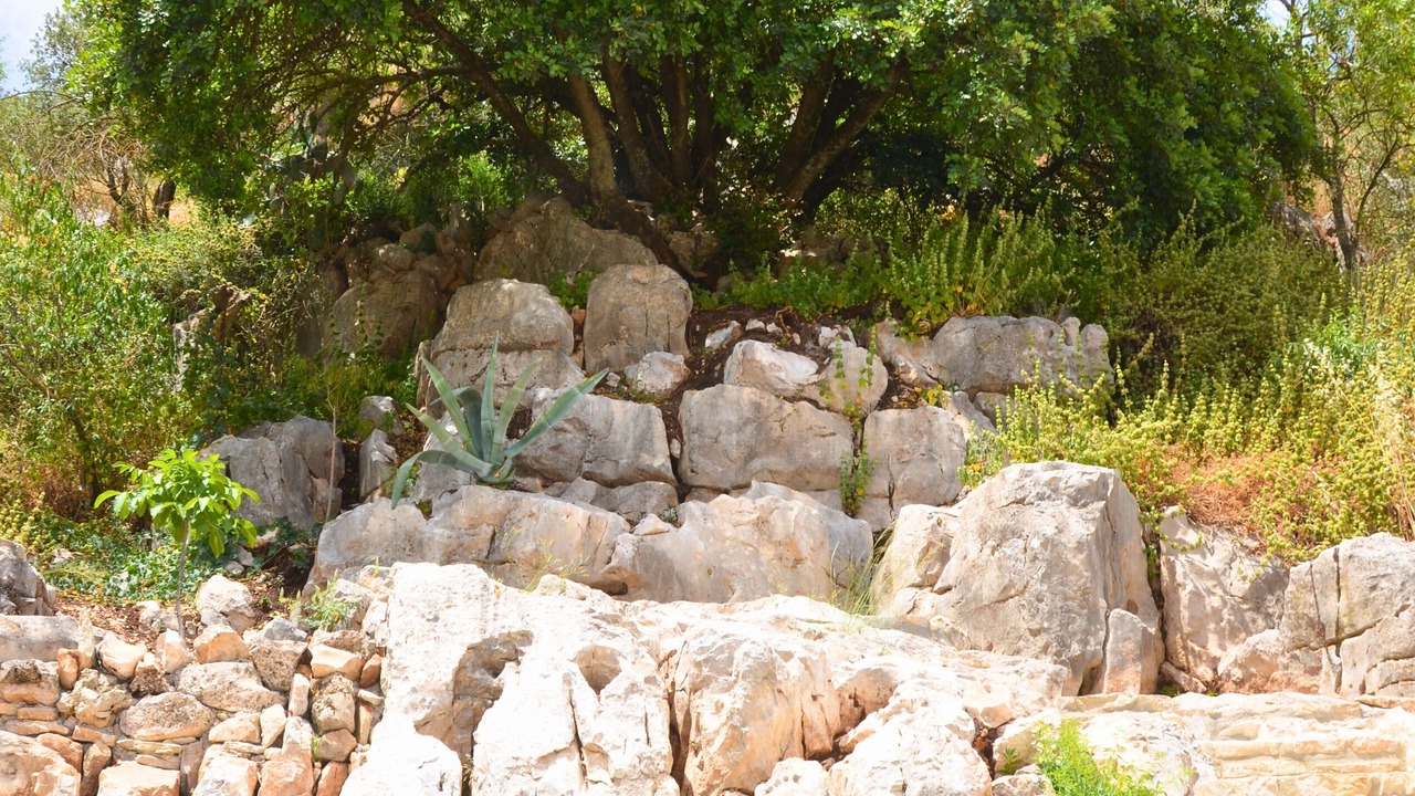 Photo of Others in Alfarnate