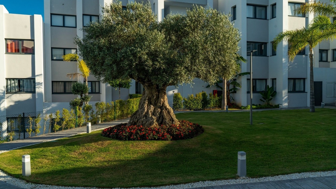 Photo of Others in Puerto de la Duquesa
