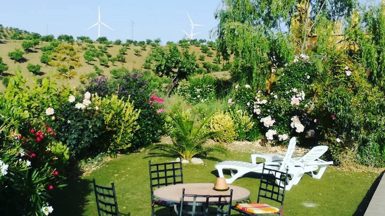 Photo of Outdoor in Velez Rubio