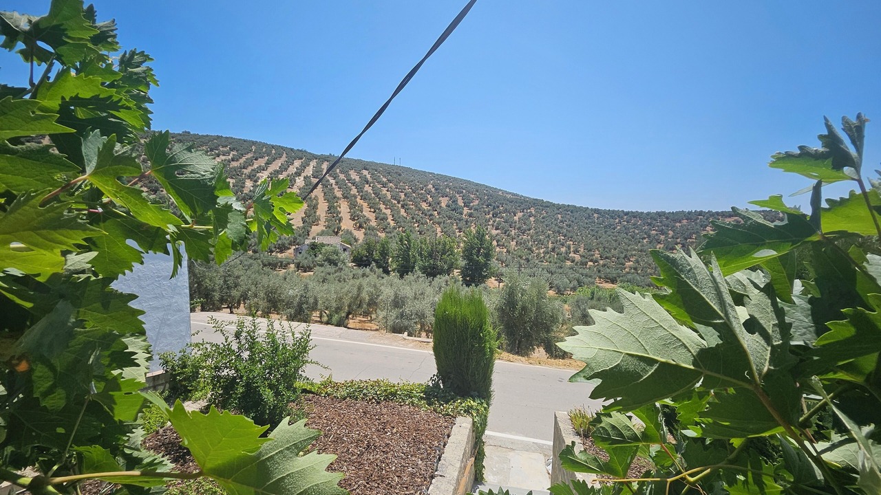 Photo of Outdoor in Villanueva de Algaidas