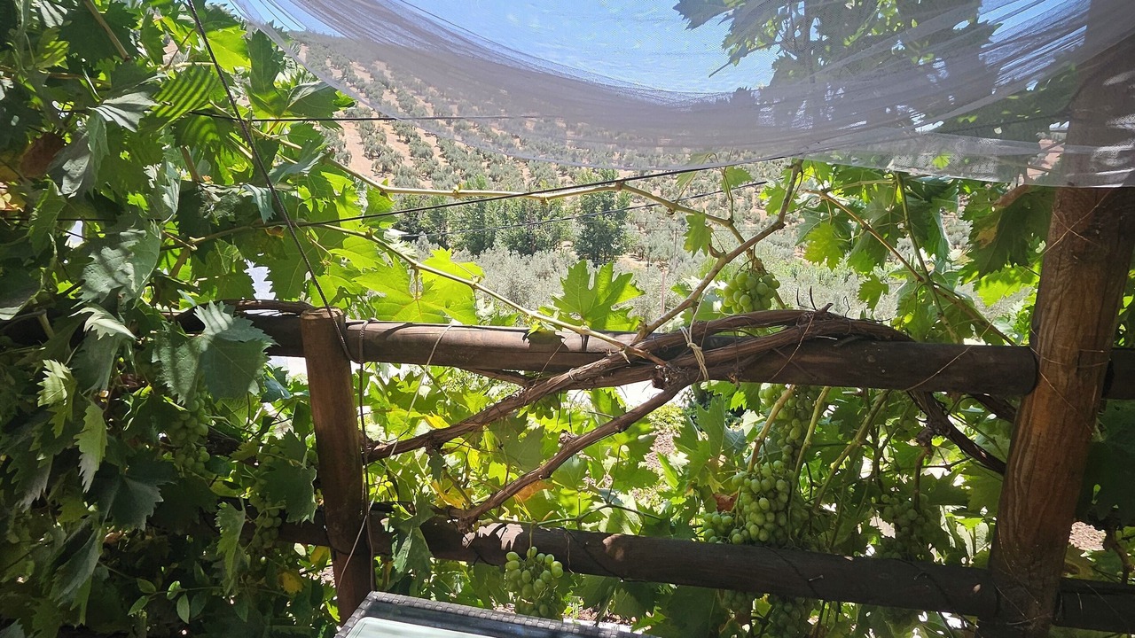 Photo of Outdoor in Villanueva de Algaidas