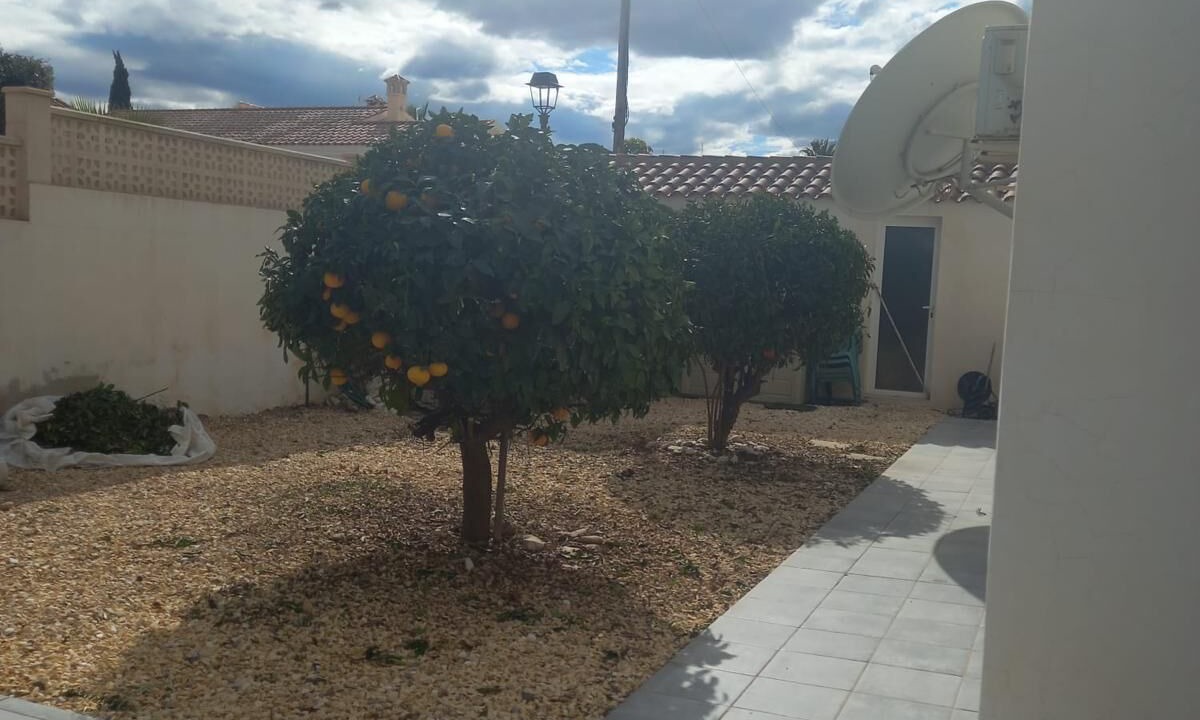Photo of Outdoor in La Alfoquia