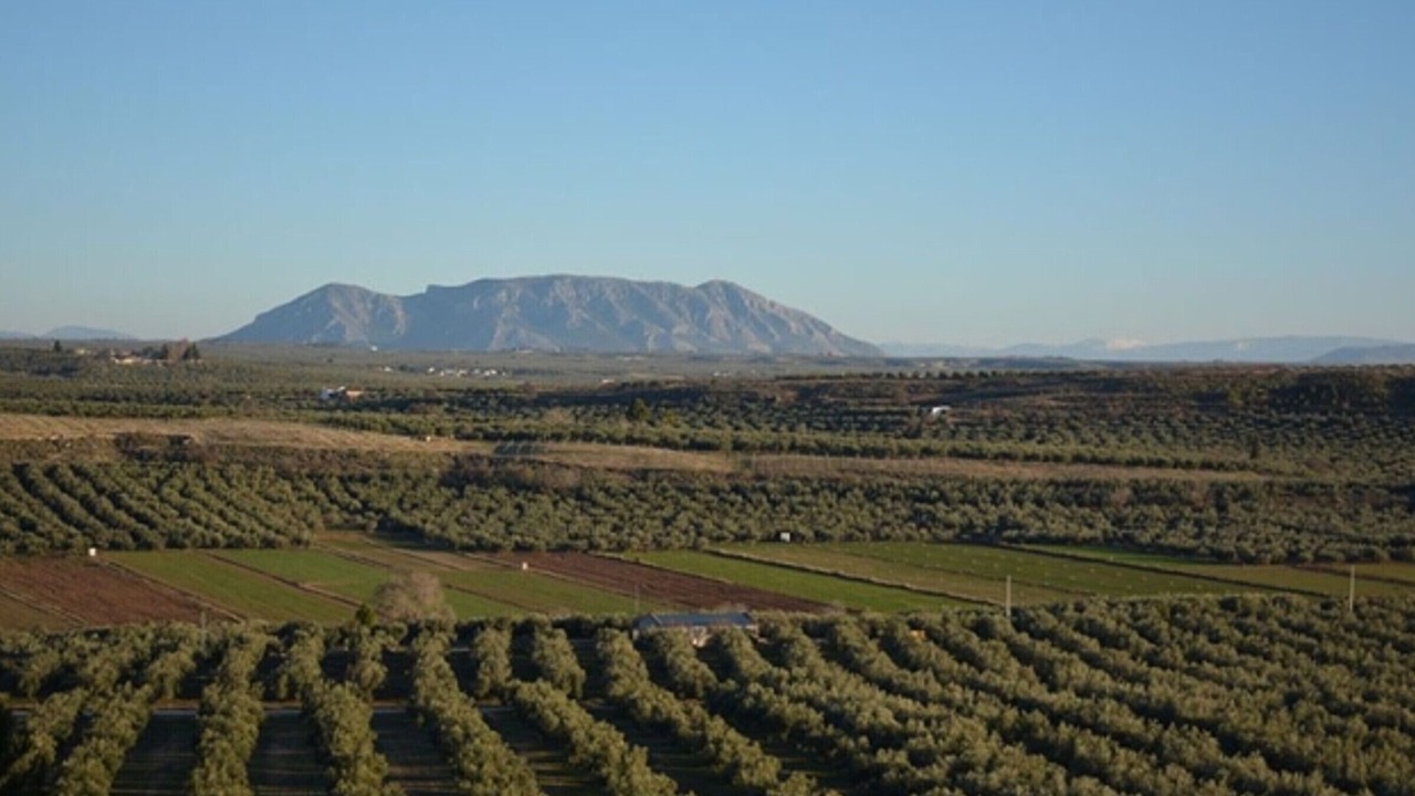 Photo of Others in Fontanar