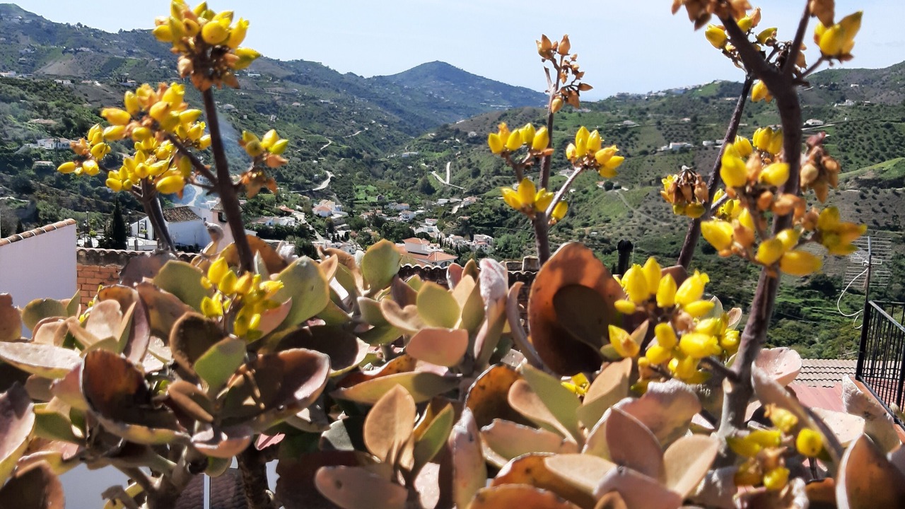 Photo of Outdoor in Canillas de Albaida